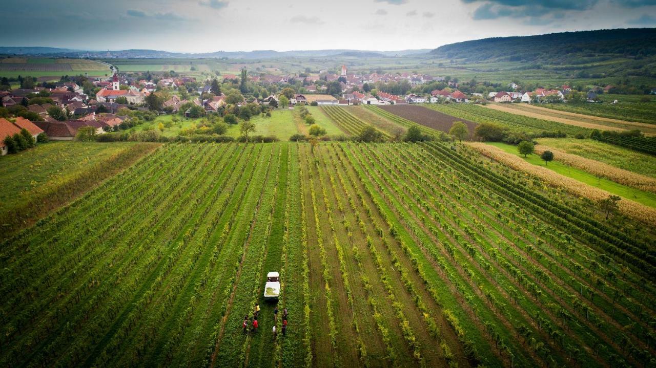 Weingut Familie Krell Hotel Mitterretzbach ภายนอก รูปภาพ